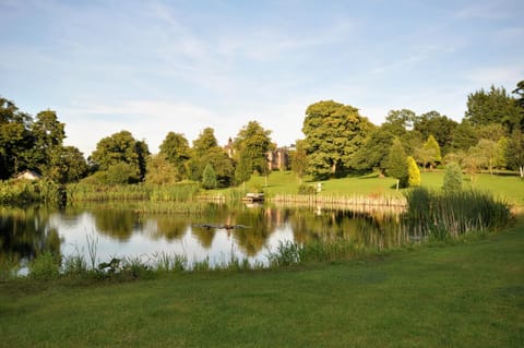 Property building, Fishing