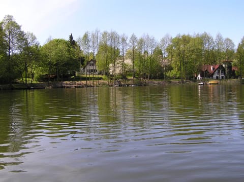 Lake view