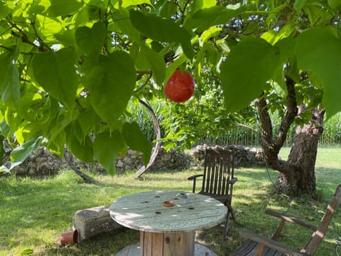 Garden, Garden view