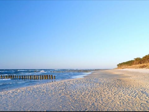 Off site, Activities