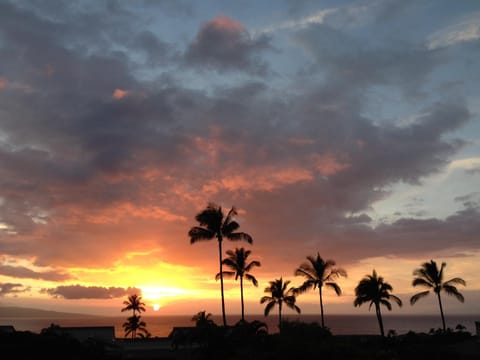 Balcony/Terrace, On site, Sea view, Sunset