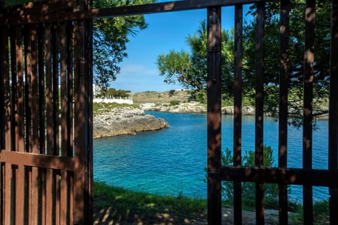 Garden, Sea view