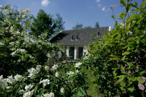 Facade/entrance, Garden