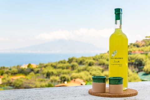 Villa Beatrice Apartment in Sorrento