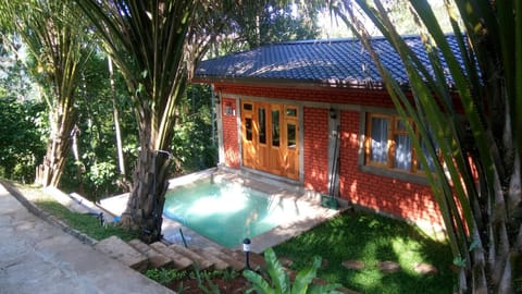Garden, Pool view, Swimming pool