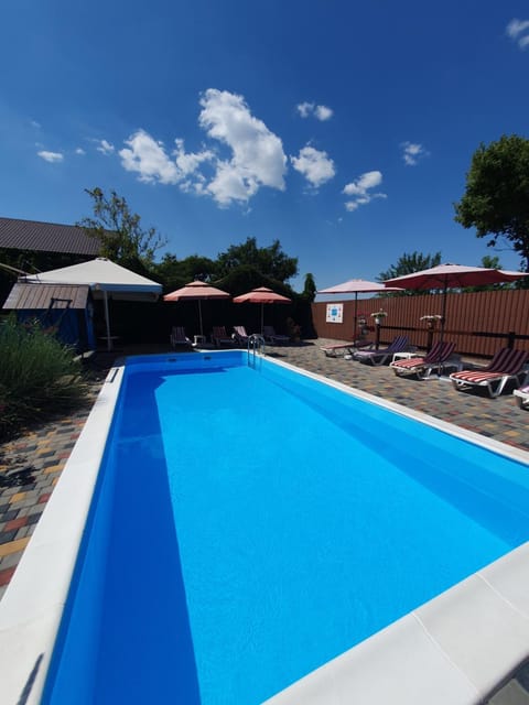 Day, Pool view, Swimming pool, sunbed