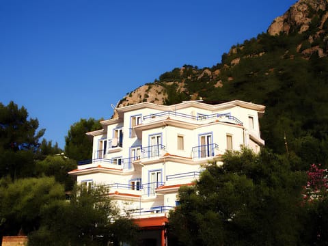 Property view