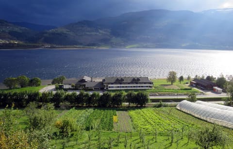 Bird's eye view, Lake view