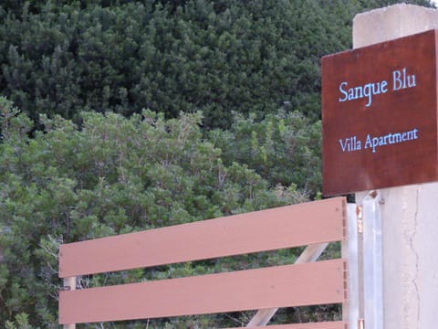 Sangue Blu Beachfront Villa Apartment House in Halkidiki