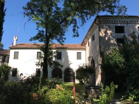 Property building, Garden view