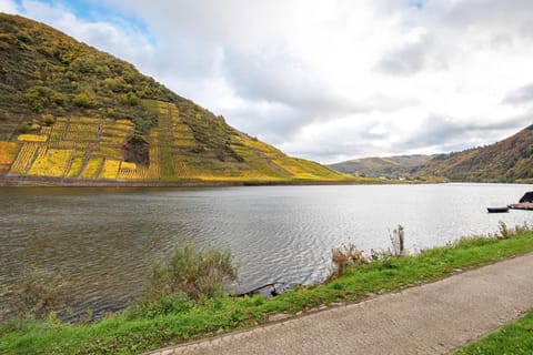 Pension Mosellablick Bed and Breakfast in Cochem-Zell
