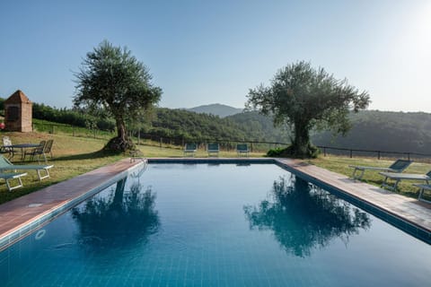 Swimming pool, Swimming pool