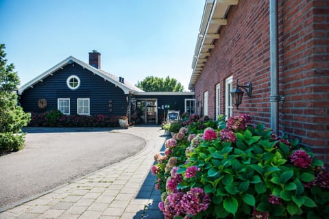 Day, Neighbourhood, Street view