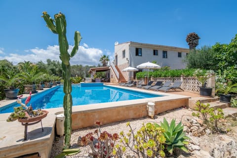 Property building, Living room, Swimming pool