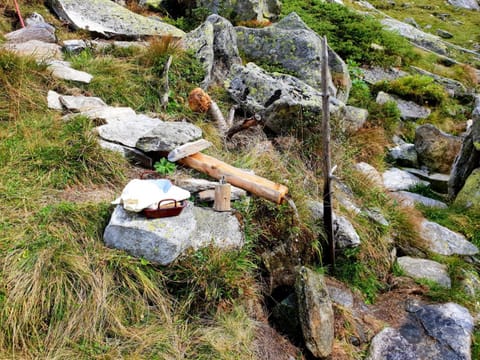 Gästehaus Wildauer Inn in Zell am Ziller