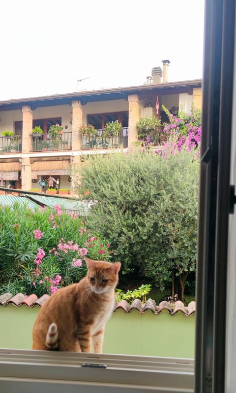 View (from property/room), City view, Garden view