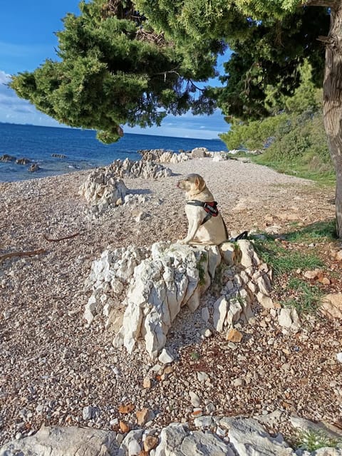 Day, Natural landscape, Beach, Sea view