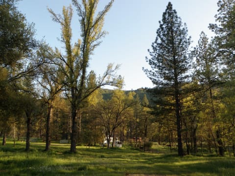 Garden view, Mountain view