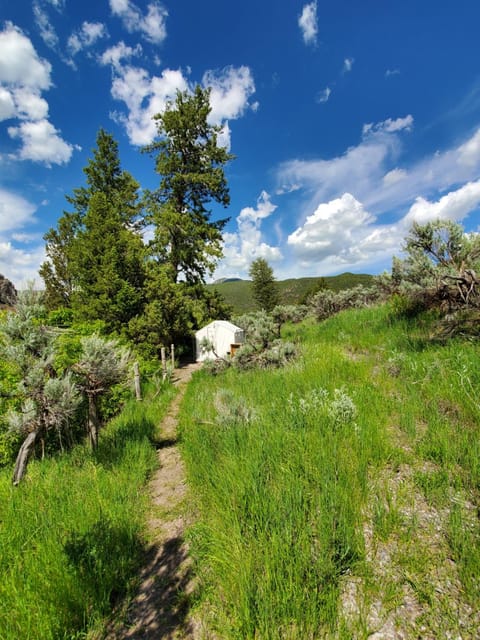 Bristol Cabins Cabin in Lava Hot Springs