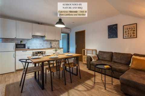 Kitchen or kitchenette, Living room, Seating area, Dining area, oven, pet friendly, stove