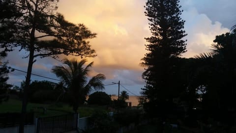 Natural landscape