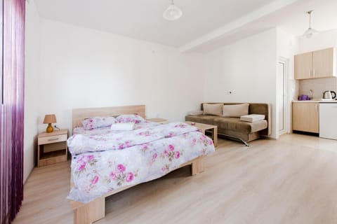 TV and multimedia, Kitchen or kitchenette, Living room, Photo of the whole room, Seating area, Bedroom