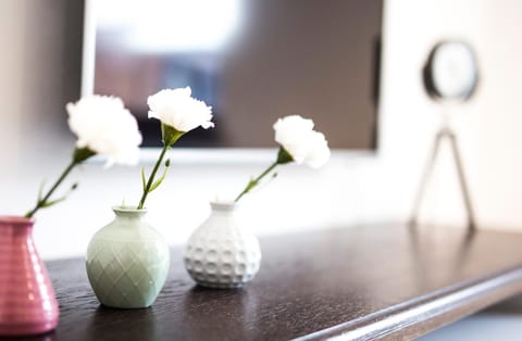 Ambre Apartments Vacation rental in Leba