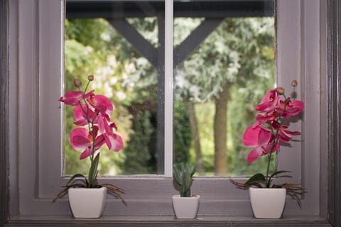 B&B Labarc Apartment in Hellevoetsluis