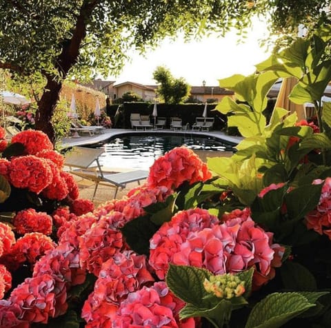 Hotel Romeo Hotel in Torri del Benaco