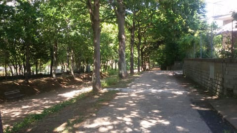 Natural landscape
