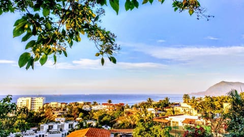 City view, Sea view
