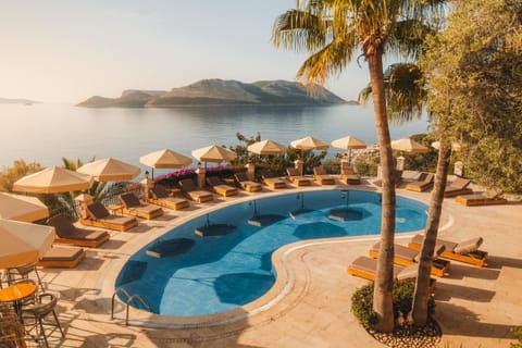 Sea view, Swimming pool, Swimming pool, sunbed