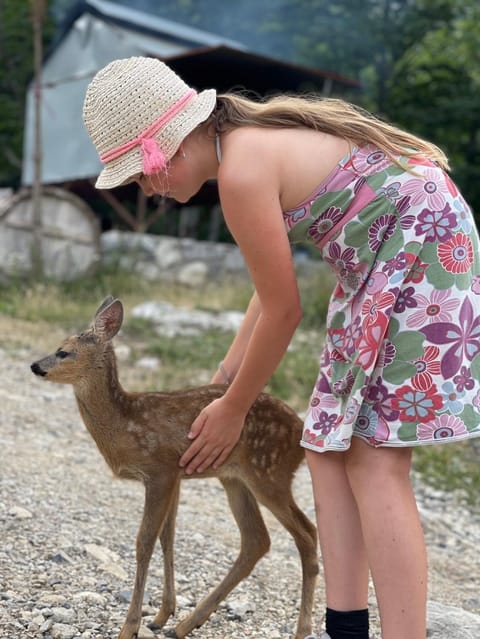 Thethi Paradise Hotel & Restaurant Farm Stay in Montenegro