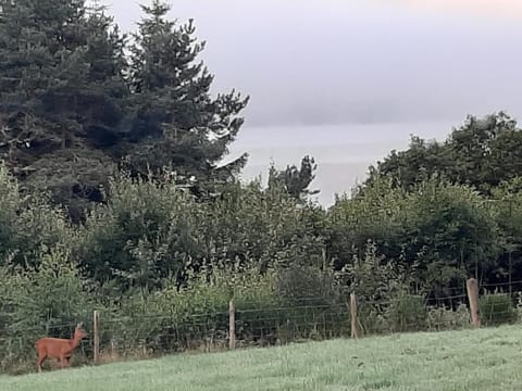 High March Bed and Breakfast in Scotland