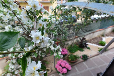 Villa Elisabetta Apartments Apartment in Pula