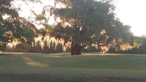Creole Victorian for groups large and small House in New Orleans