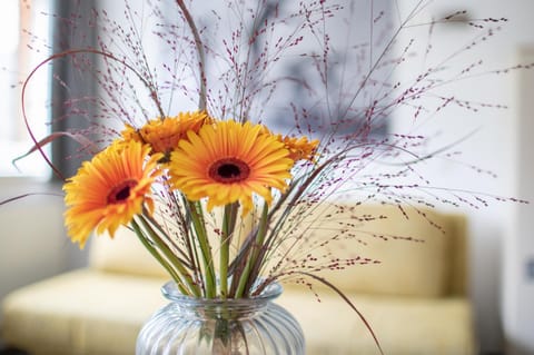 Sunshine Appartements Schilchegger Apartment in Obertauern