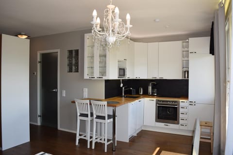 Kitchen or kitchenette, Dining area, dishwasher, oven, stove
