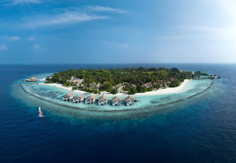 Day, Bird's eye view