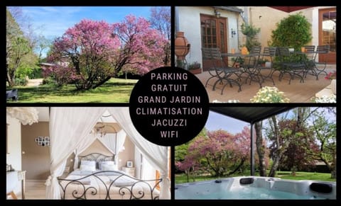 Patio, Garden, Garden view