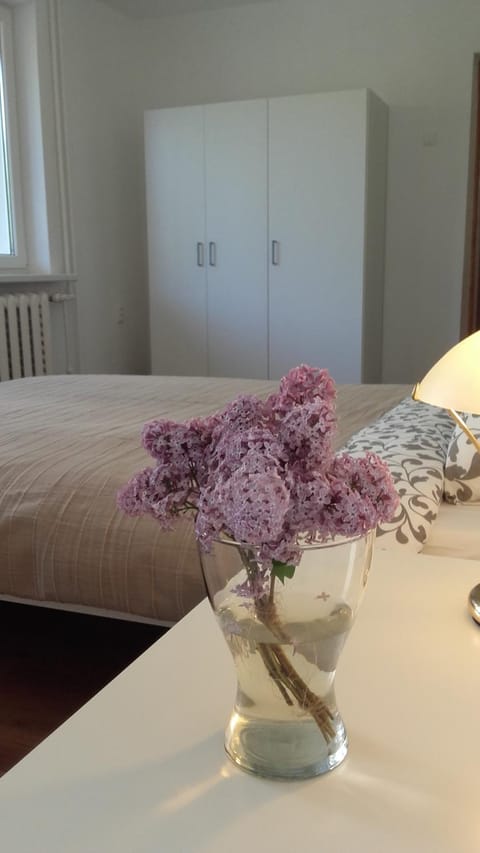 Trakai White Apartments Apartment in Vilnius County, Lithuania