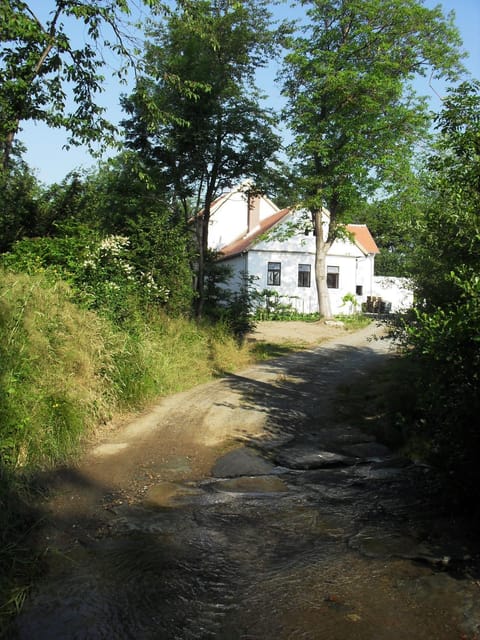Property building, River view
