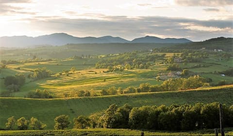 Attico a Barberino di Mugello Apartment in Emilia-Romagna