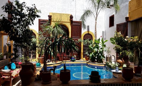 Garden, Garden view, Pool view, Swimming pool, Swimming pool