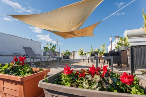 Patio, Spring, sunbed