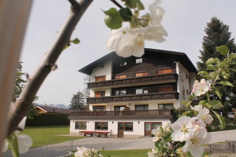 Property building, Spring, Garden