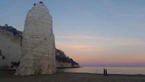 Nearby landmark, Beach, Sunset