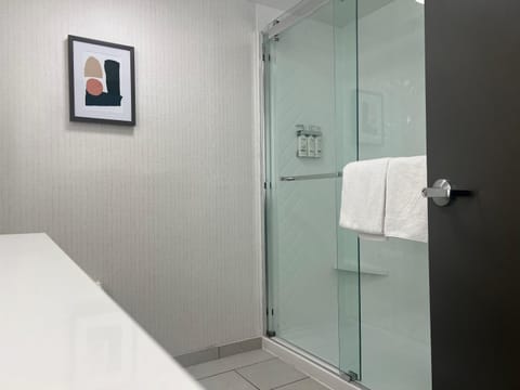 Holiday Inn Nashville Downtown - Stadium by IHG Hotel in East Nashville