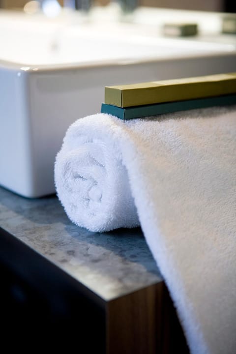 Hotel Restaurant Spa Ivan Vautier Hotel in Caen