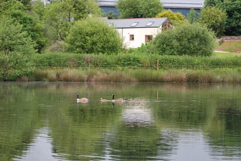 Lakeview Cottage House in West Devon District